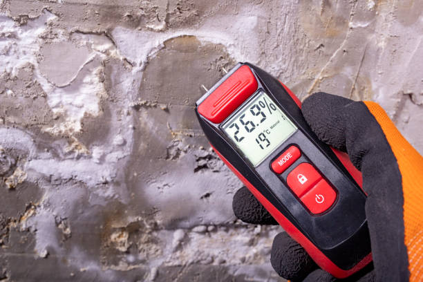 Best Fast Mold Removal  in Westlake Village, CA