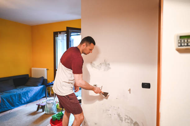Best Commercial Mold Removal  in Westlake Village, CA